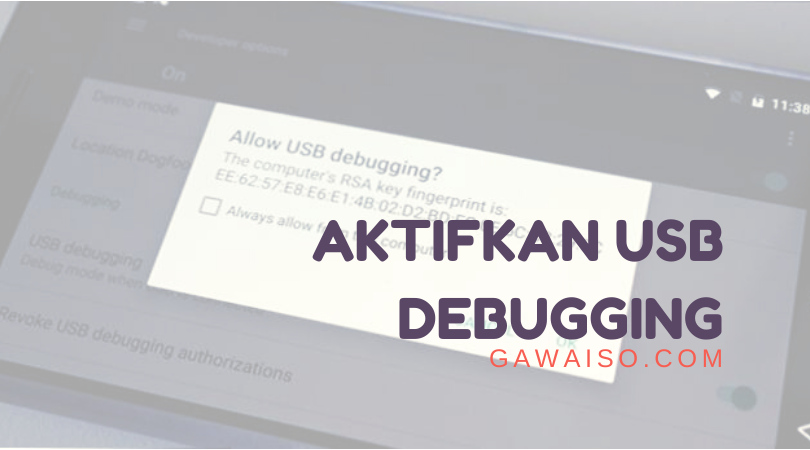 Cara Mengaktifkan USB Debugging & Developer Options [Tanpa ROOT]